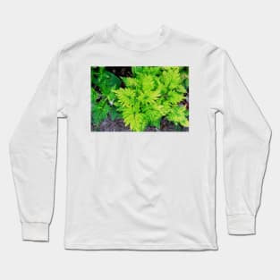 Red and Yellow Coleus Plant Leaves Long Sleeve T-Shirt